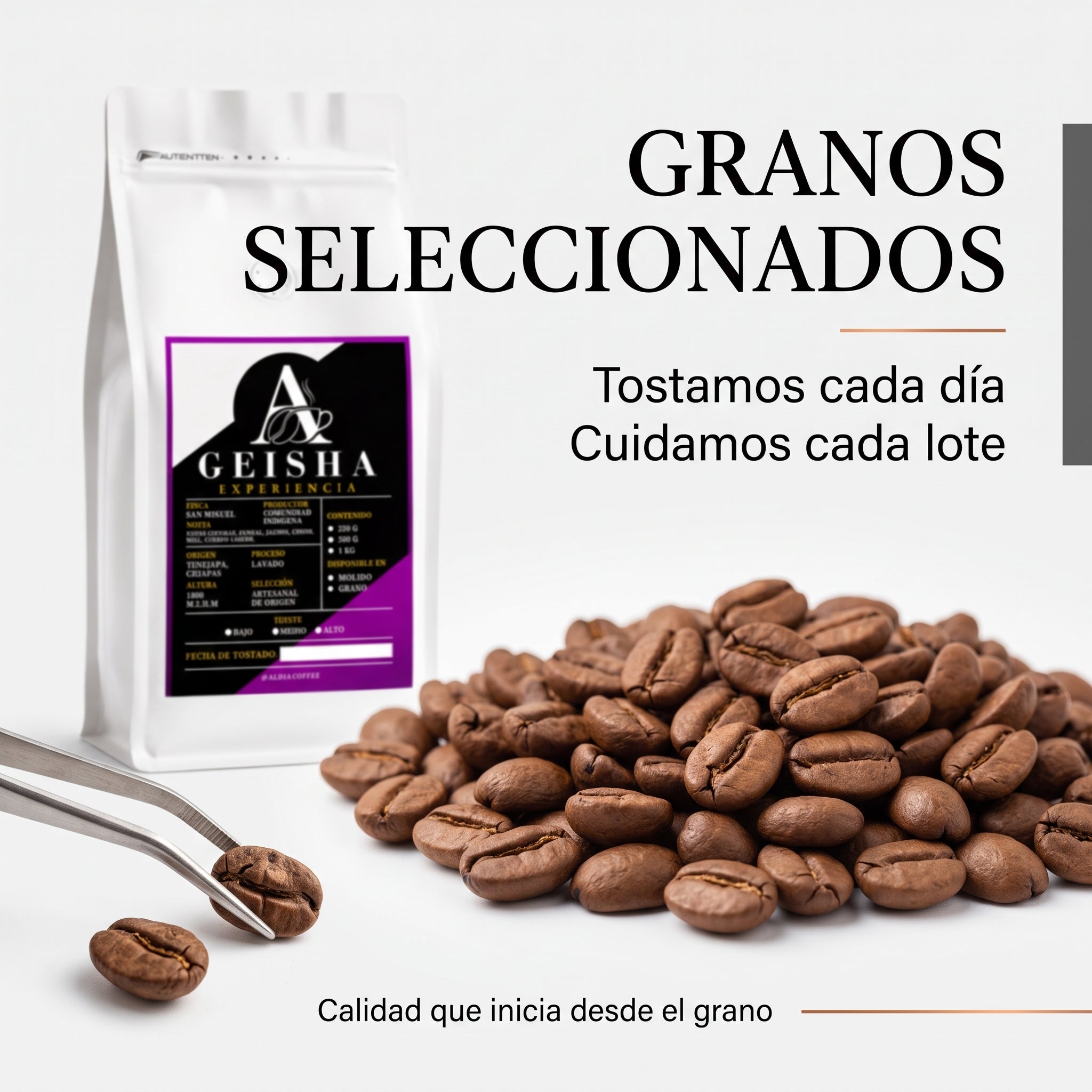 Washed GEISHA - Finca San Miguel