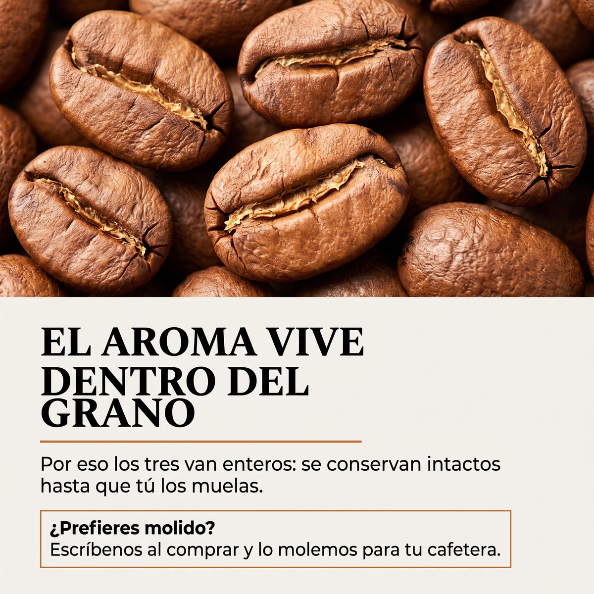 Kit Exclusivos - 3 cafés impresionantes