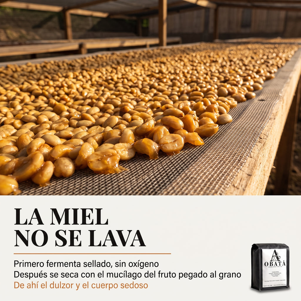 Obatá Honey Anaeróbico Experimental - Finca La Esperanza