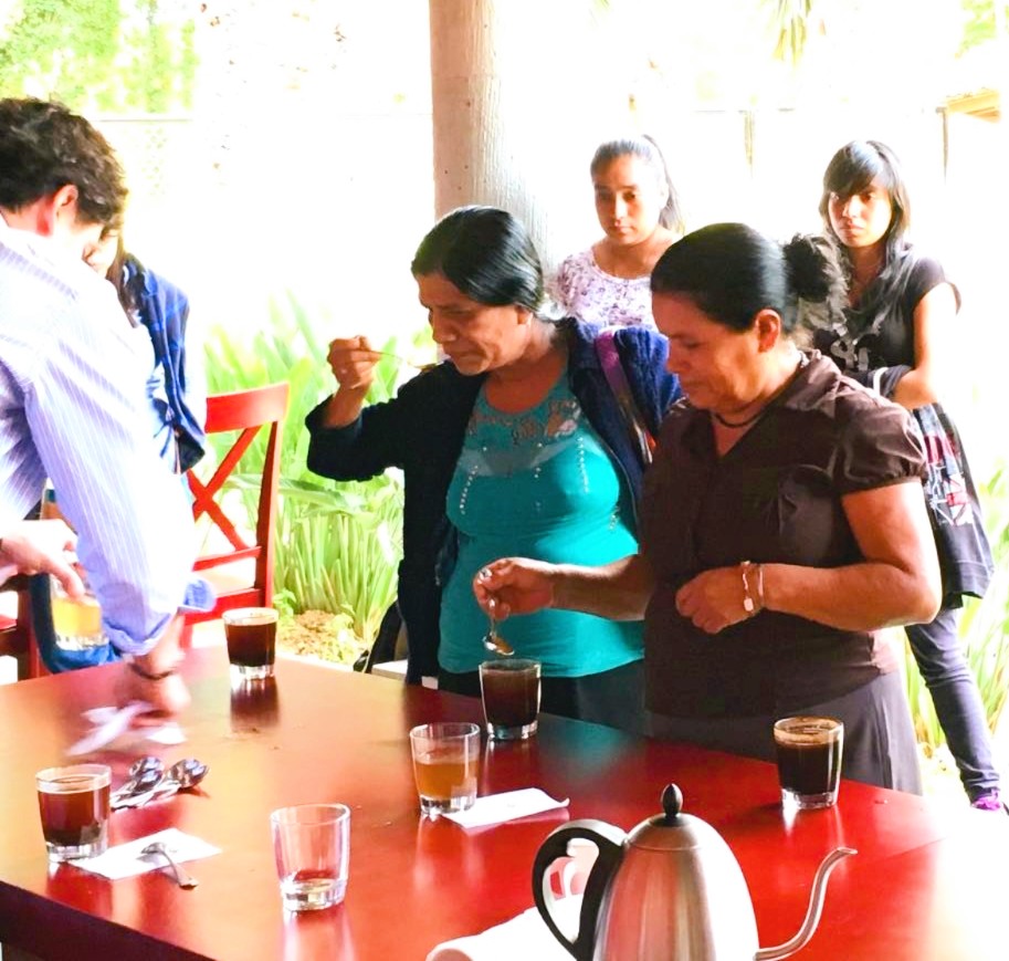 Washed - Typica, Bourbon Rojo y Caturra - Manos de Mujer Oaxaqueña