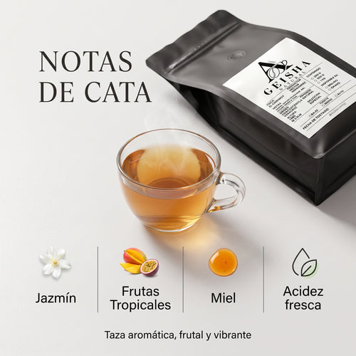 Geisha Natural - Finca Chirimoyo 88 SCA
