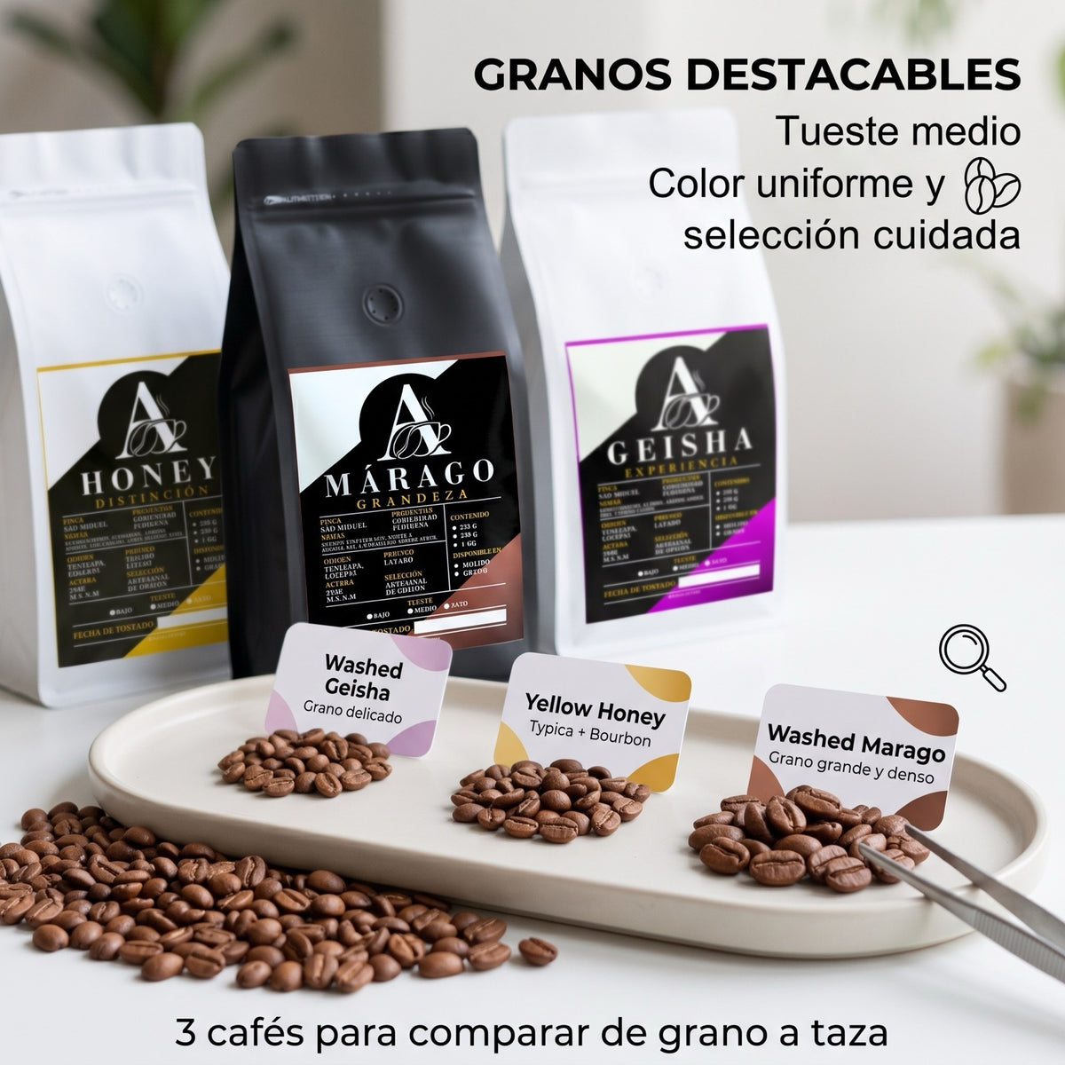 Kit GHM Aldia Coffee